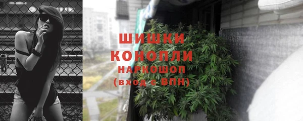 каннабис Белокуриха