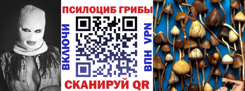 Галлюциногенные грибы Psilocybe  дарк нет состав  Тарко-Сале 